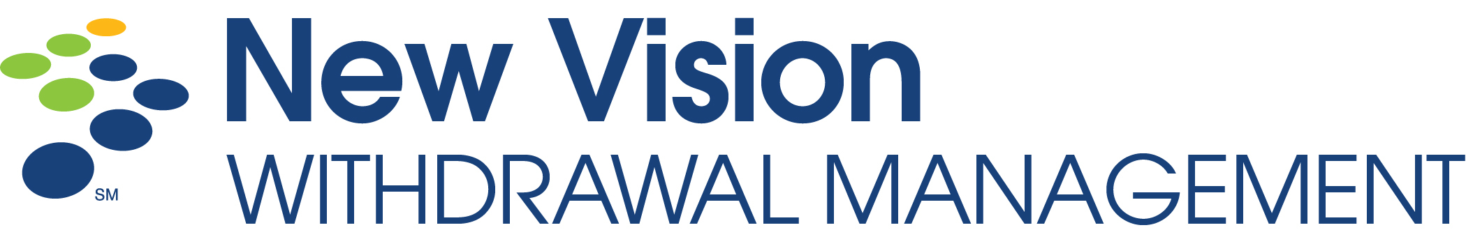 New Vision Logo